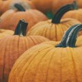 Chanhassen Residents Invited to Donate Pumpkins for Farm Animal Feed Before November 15 Cutoff