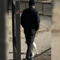 Boulder Police Seek Public’s Help in Identifying Suspect Accused of Assaulting Blind Man on Trail