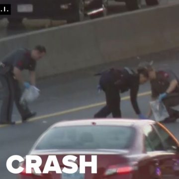 Mad dash for cash ensues after driver pulls over and sprints across highway carrying wads of bills before being killed by SUV: Cops