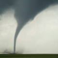 EF-0 Tornado Tears Through Pittsburgh Neighborhood, Thousands Left Without Power Amid Cleanup Efforts