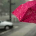 High Wind Warning and Advisory Issued for Tennessee as Knoxville Braces for Strong Gusts and Rainy Conditions