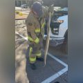 Scottsdale Fire Department Rescues Boa Constrictor from Under Truck, Phoenix Sanctuary Aids in Recovery