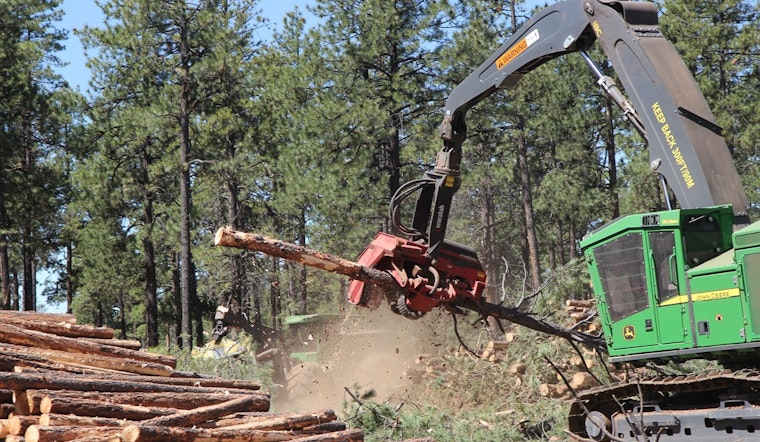 Coconino County and Partners Spearhead Forest Restoration Projects to Mitigate Wildfire Threats in Flagstaff Region