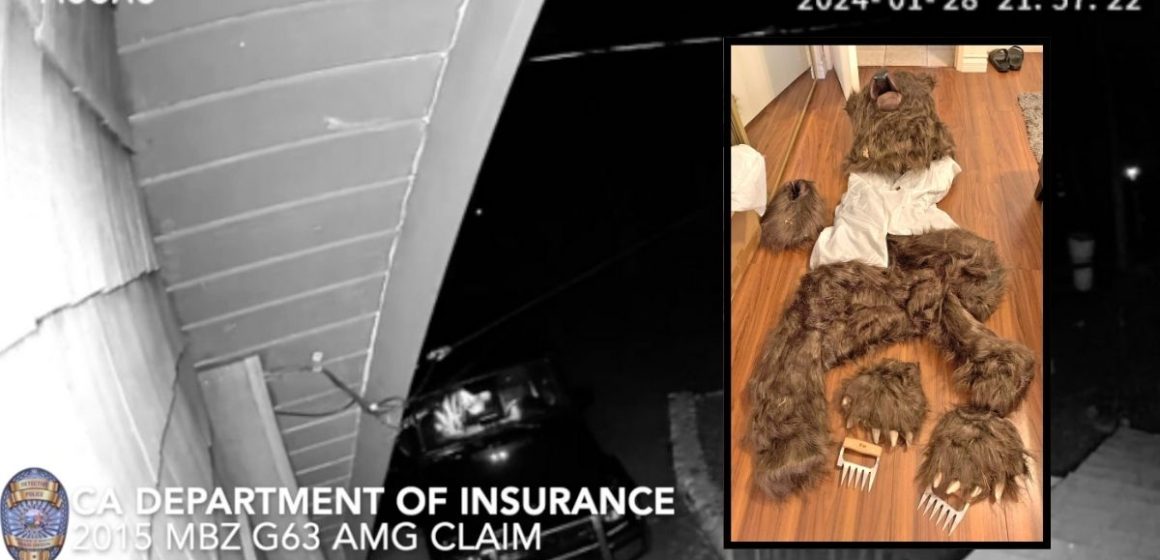 Caught bear-handed: Video allegedly shows group using animal suit to commit fake attacks on Rolls-Royce and other luxury cars for insurance payouts