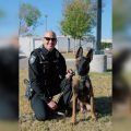 Cedar Park Police Department Boosts K9 Unit Roster with Top Graduate Belgian Malinois, Maverik