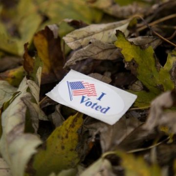 Minnesota Secretary of State Launches Real-Time Election Results Website for Enhanced Voter Engagement