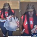 Sanford Police Seek Public’s Help to Identify Suspect in $1,900 Credit Card Fraud at Local Target