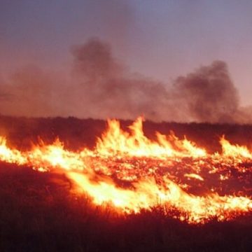 Hawaii on High Alert as Acting Governor Sylvia Luke Issues Emergency Proclamation Amid Wildfire Risks