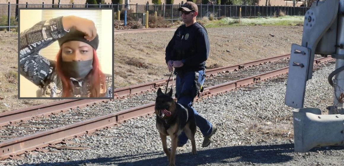 ‘My whole brain, mama’: Woman gets $1M settlement after K-9 cop dog ripped off her scalp