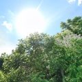 Brisk Winds and Sun in St. Louis with a Chilly but Clear Forecast Ahead