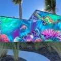 Clearwater’s Coachman Park Welcomes New Marine-Themed Mural by Tampa Bay Artist Dreamweaver