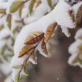 Milwaukee Commuters Navigate Snow and Wind as Winter Weather Advisory Takes Effect