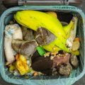 Minnetonka Proposes Cost-Effective Organics Recycling Plan with Weekly Curbside Pickup Starting in 2025