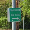 Toad Hollow Dog Park in Davis Closed Due to Flooding, Reassessment Set for Tomorrow