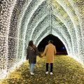 NYC’s most dazzling light show returns to Brooklyn Botanic Garden for 2024 holiday season | Date and ticket info