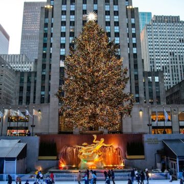 Massachusetts’ Majestic Norway Spruce Embarks on Journey to Shine as Rockefeller Center Christmas Tree in New York