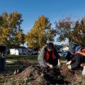 Sacramento Rallies 400 Volunteers to Plant 215 Trees, Bolstering Urban Forest and Community Spirit