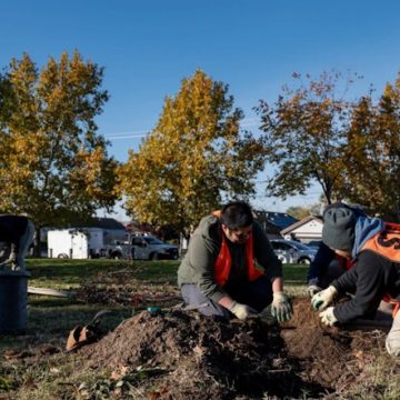 Sacramento Rallies 400 Volunteers to Plant 215 Trees, Bolstering Urban Forest and Community Spirit