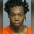 Milwaukee Man Sentenced to 40 Years for Fatal Reckless Driving Incident Involving Pregnant Woman