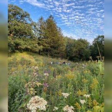Eloise Butler Wildflower Garden and Bird Sanctuary Receives Over $95K from Friends of the Wildflower Garden for New Fencing