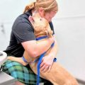 Pima Animal Care Center Excels in Strengthening Pet-Owner Bonds with Free Services and Family Support Programs