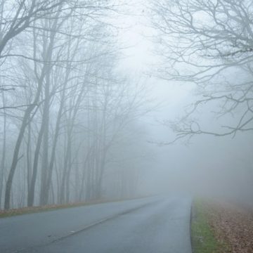 Dense Fog Descends on East Tennessee, SW Virginia, and SW North Carolina, NWS Warns of Hazardous Driving Conditions