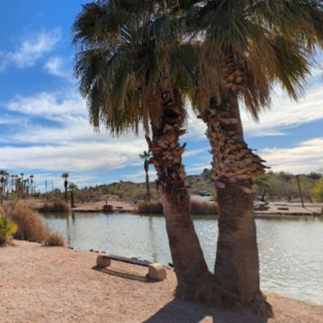 Body Found at Papago Park in Phoenix, Police Investigate Potential Homicide