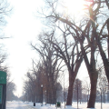 Salt Lake City Weather Alert: Sunny Skies Today, Unsettled Conditions Ahead with Rain and Snow Chances