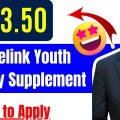 Centrelink’s $153.50 Youth Disability Supplement Everything You Need to Know About Eligibility and Application