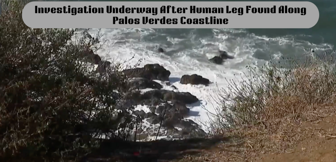 Investigation Underway After Human Leg Found Along Palos Verdes Coastline