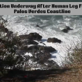 Investigation Underway After Human Leg Found Along Palos Verdes Coastline