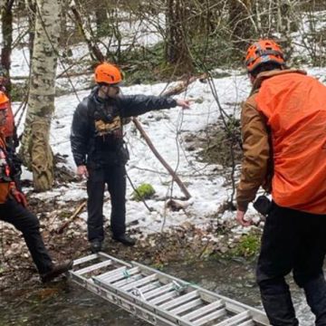 Two Men Found Dead in Washington Forest After Searching for Sasquatch, Deaths Likely Due to Exposure