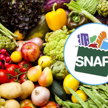 December SNAP 2025: Payment Dates, Eligibility Rules & How to Claim Benefits?