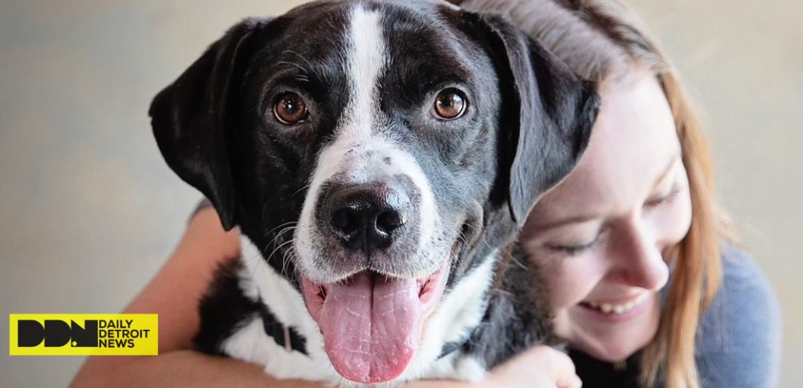 Abandoned Pet Rescue Has 35 Dogs Waiting for Loving Homes, Including Cece and Lucy, Who Are Ready for Adoption (1)