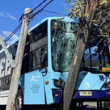 Bus Crashes Into Telephone Pole in Tyrone Township, Five Adolescents Hospitalized With Minor Injuries