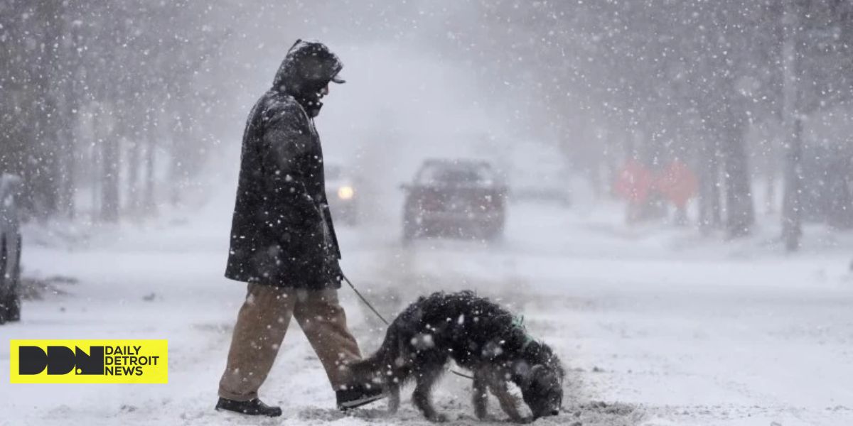 Central U.S. Hit by Massive Winter Storm Record Snowfall, Treacherous Roads, and Widespread Disruptions