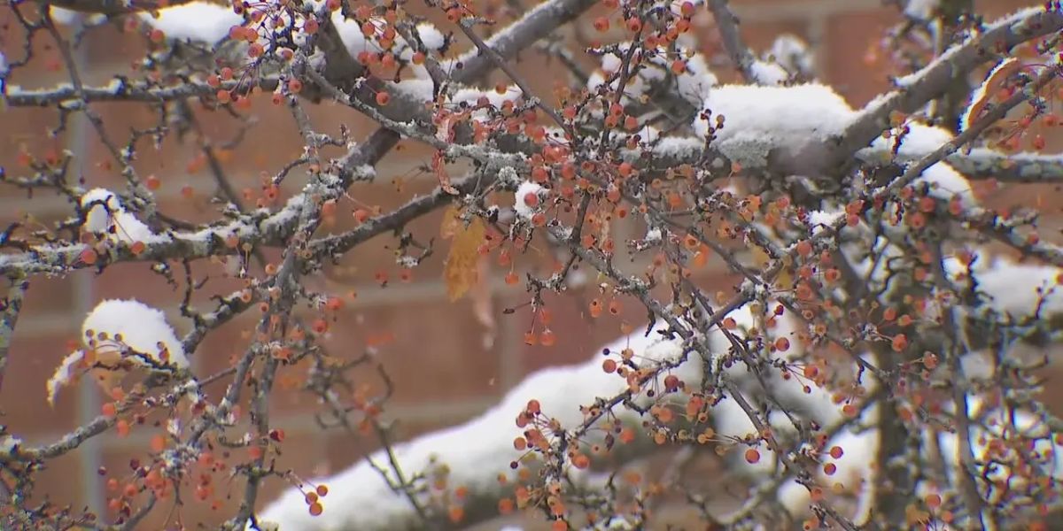 Cloudy and Cold Conditions Grip Metro Detroit as Lingering Flurries Persist