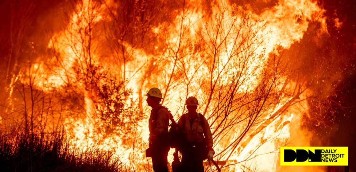 Man Arrested After Using Flamethrower to Ignite Wildfire in Los Angeles