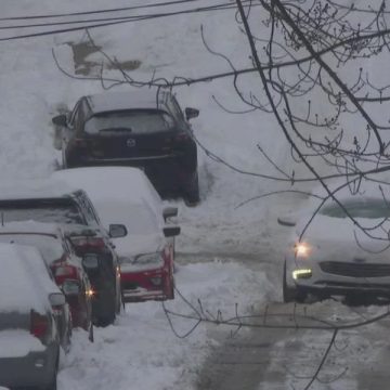 Snowstorm Hits Laurel Highlands 1-3 Inches Per Hour and Coldest Week Since 2015 in Pennsylvania (1)