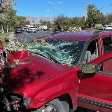 UTV-SUV Crash in Arizona Leaves Idaho Falls Woman Dead, Husband Airlifted to Las Vegas