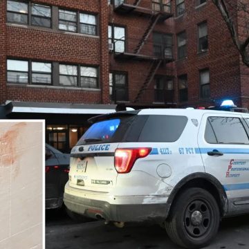 Woman Fatally Stabbed in Brooklyn, Heroic Neighbor Holds Attacker Until Police Arrive