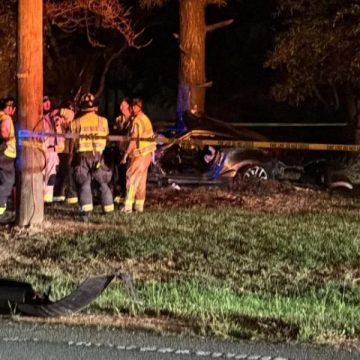 80-Year-Old Woman Dies from Critical Injuries After Slamming Vehicle Into Tree in North Augusta