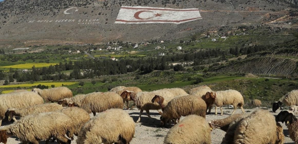 Nevada Driver Who Hit and Killed 39 Sheep Near Lovelock Receiving Death Threats, Sheriff Says