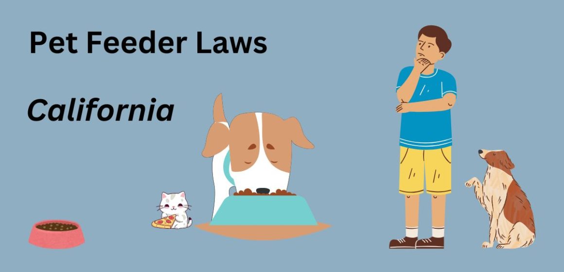 California’s New Pet Feeder Law Important Changes and Updates for Owners