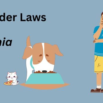 California’s New Pet Feeder Law Important Changes and Updates for Owners