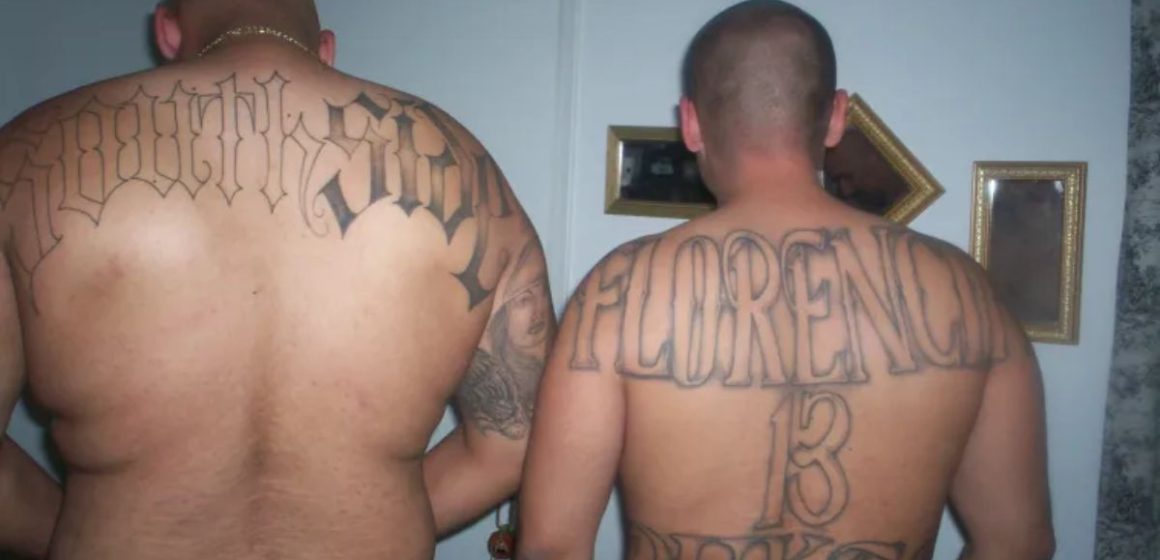 Gangland Arizona 5 Prominent Gangs Affecting Safety in the Copper State