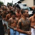 Georgia’s Most Notorious Gangs 5 Criminal Groups to Watch Out For