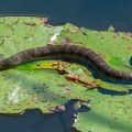 Slithering Alert Top 3 Most Snake-Infested Lakes in Arkansas to Watch-Out