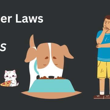 Texas's New Pet Feeder Law Important Changes and Updates for Owners