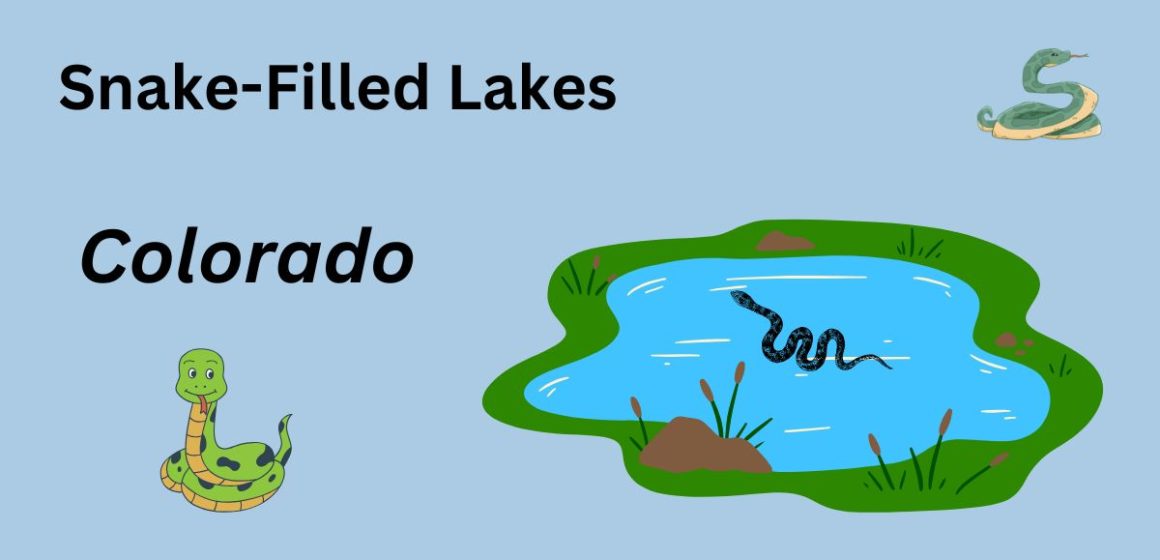 These Colorado Lakes Are So Full of Snakes, You will Get Chills